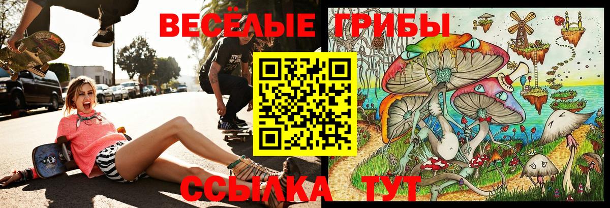 Псилоцибиновые грибы мухоморы  Вход с VPN  Кириши  Галлюциногенные грибы Magic Shrooms 