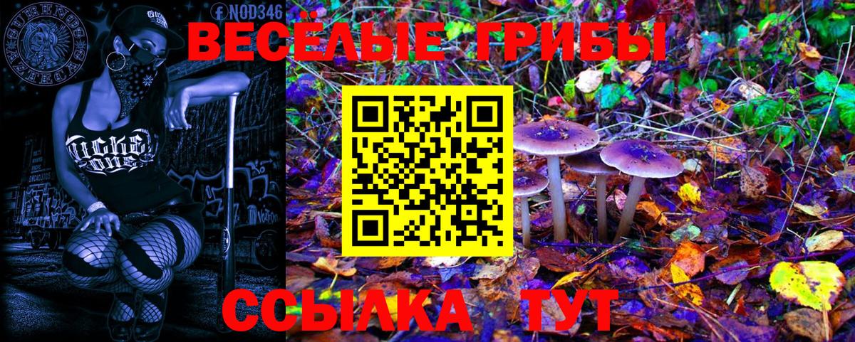 Псилоцибиновые грибы мухоморы Кириши
